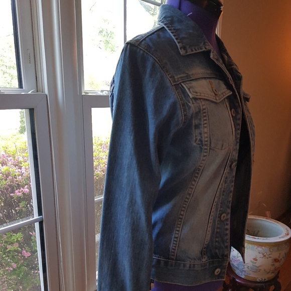 Jacket - Picture 2 of 8